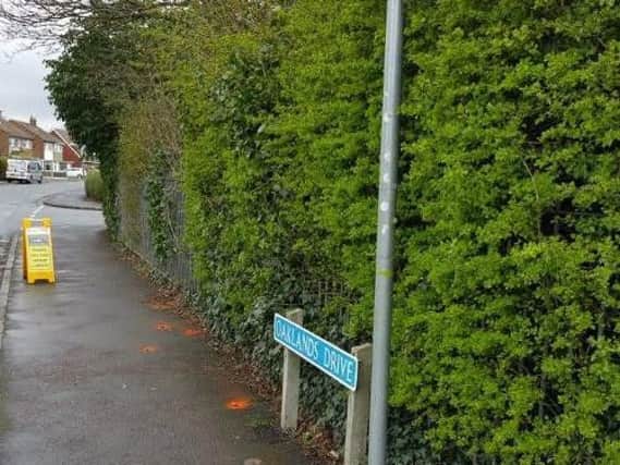 Dog fouling is sprayed orange by the council in South Ribble