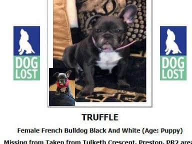 Michelle Cavendish is offering a "generous" reward for the safe return of Truffle.