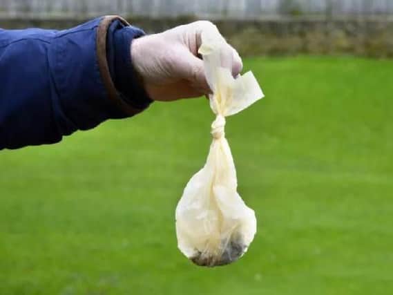 More than 1,700 incidents of dog fouling have been reported to Chorley Council in a 14-month period between January 2018 and March 2019.
