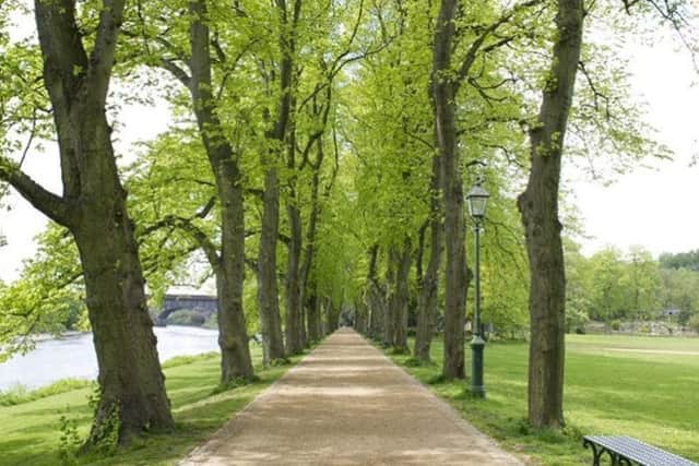 Mental Health Mates is a good way to get out in the fresh air to walk and talk