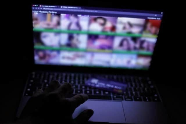 Online porn age verification law pushed back