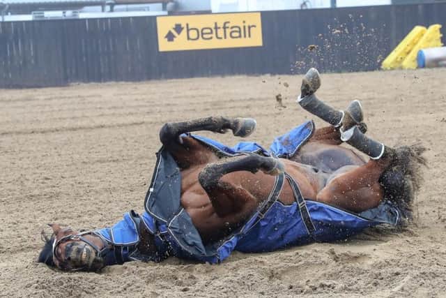 Tiger Rol You Back Tiger Roll welcomed home after emulating Red Rum with back-to-back ...