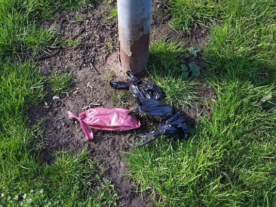 A Preston resident is frustrated after the city council has removed dog waste bins from his local park.