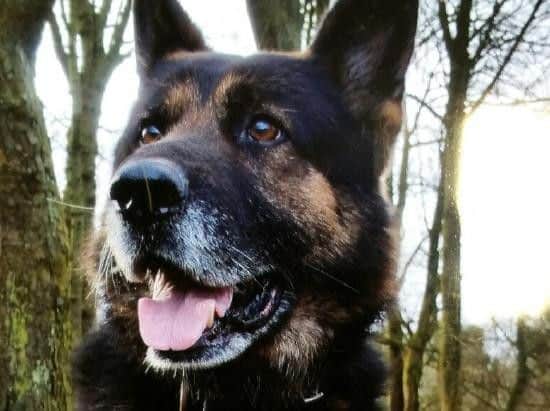 PD Sirius. Picture from Preston police