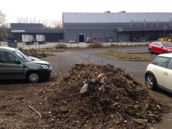 At least 50 trees have been felled at the former site of Broughton Printers in Caxton Way, Fulwood.