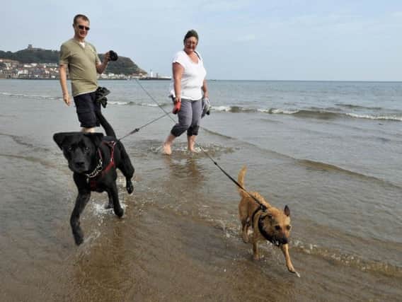 The annual ban forbidding dogs from Morecambe beaches over the summer is coming into force