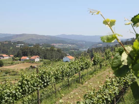 Vinho Verde