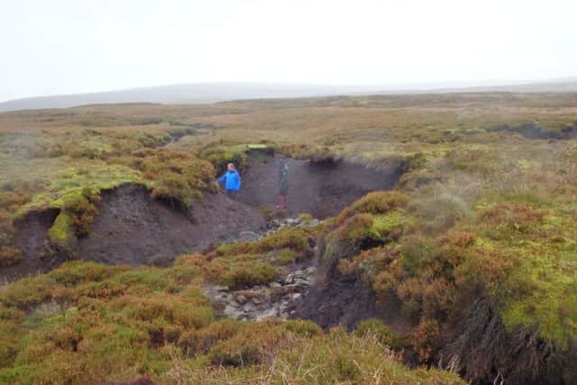 Principal AONB Officer Elliott Lorimer shows the depth of peat erosion in parts of the uplands - a six ft gully on Abbeystead, eroded by water over the last 100 years