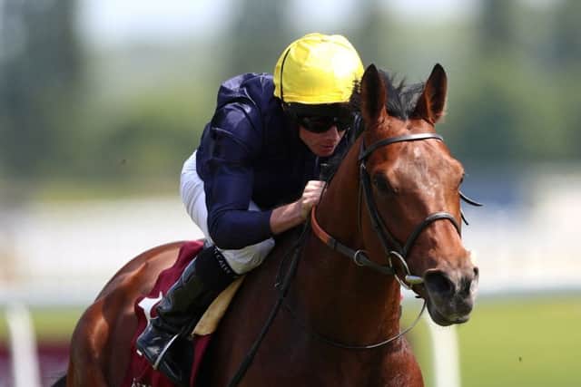 Crystal Ocean is the banker bet in the Aston Park Stakes at Newbury