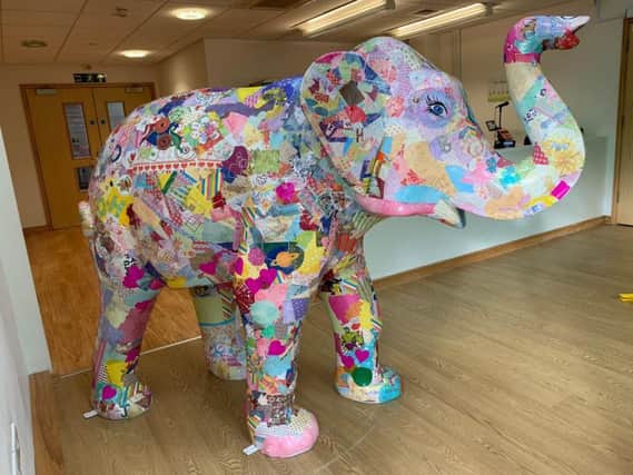 Tallulah the elephant donated to Derian House by RSP