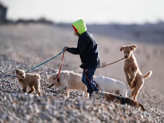 Surgeons have warned dog walkers could be putting themselves at risk of serious hand injuries by controlling their pets incorrectly.