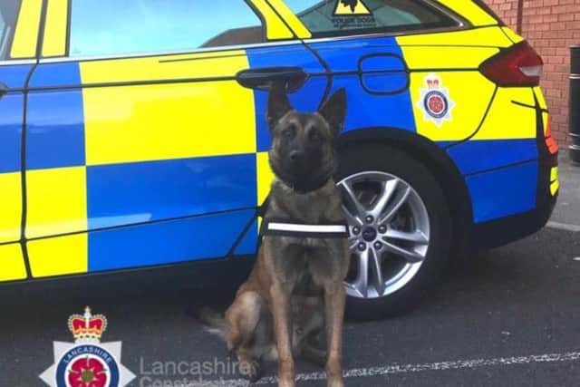 PD Rico joined Lancashire Constabulary earlier this month.