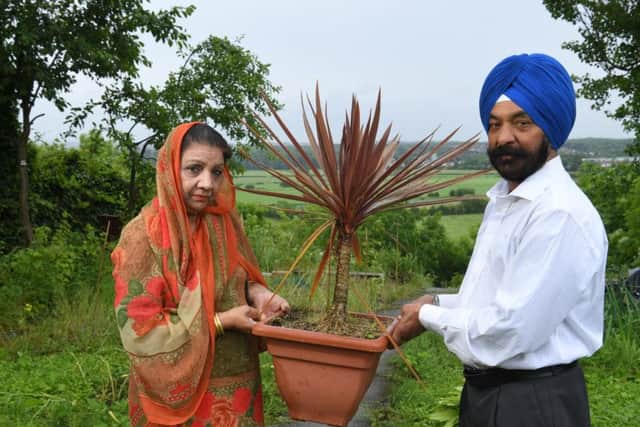 The couple's cherished Yucca plants, which Mr Singh has nurtured for years, were snatched from their garden earlier this month