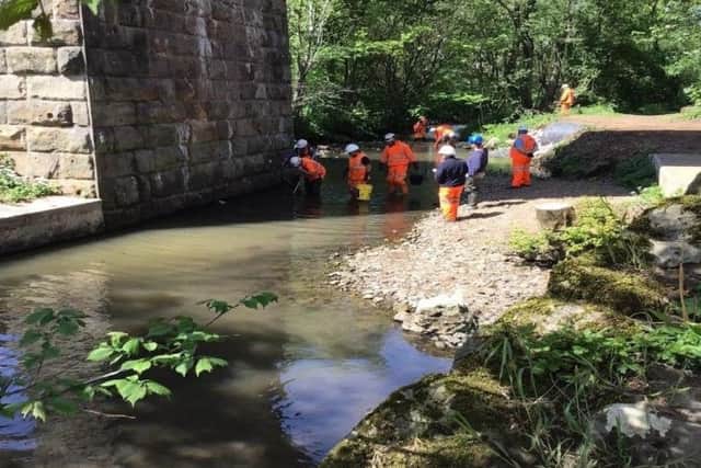 Teamsrescuing fish from the river Keer so refurbishment work could take place on Capernwray viaduct
