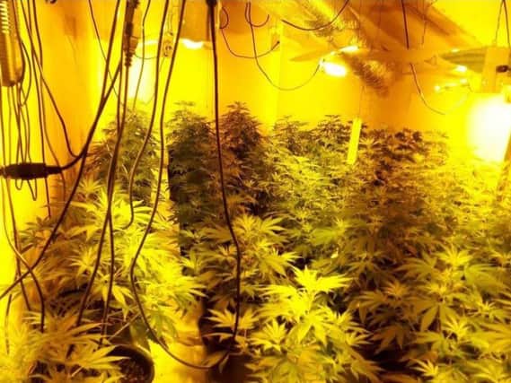 A cannabis farm set up discovered in Preston