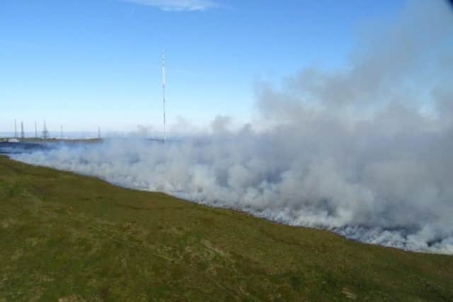 The extent of the fire and the TV tower in the background