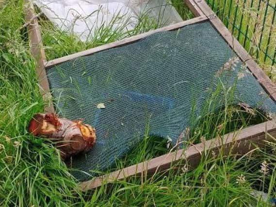 It is the third time in two weeks that the school has been targeted by vandals