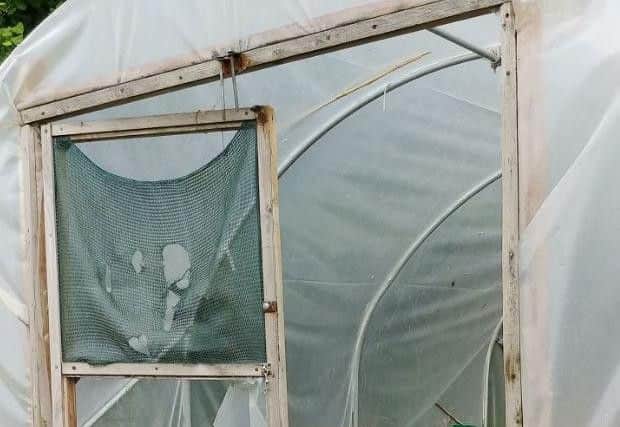 Polythene tunnels were punctured, doors broken and greenhouse staging tables were smashed up at the outdoor learning space at St Clare's Primary School in Fulwood