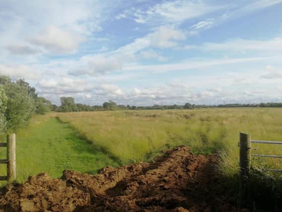 Part of the planned development site between Moss Lane and Flensburg Way could be used for tree-planting