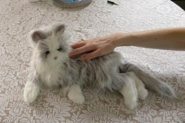 Phyllis the robotic cat is helping older people at the Leyland Centre