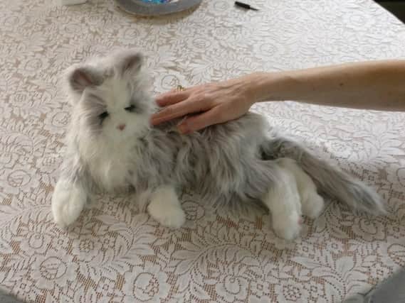 Phyllis the robotic cat is helping older people at the Leyland Centre
