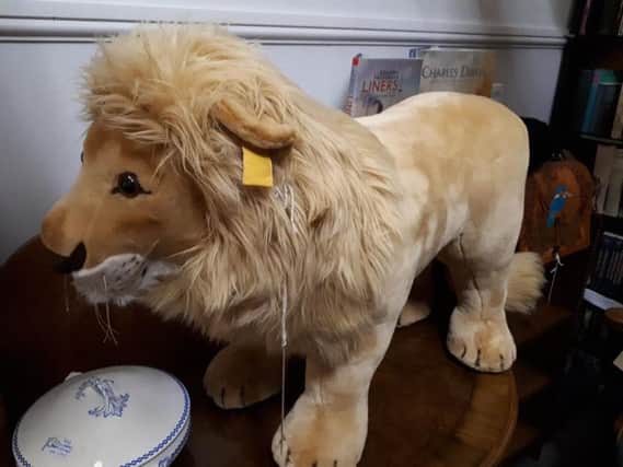 This giant Steiff lion, nearly a metre long, is in immaculate condition