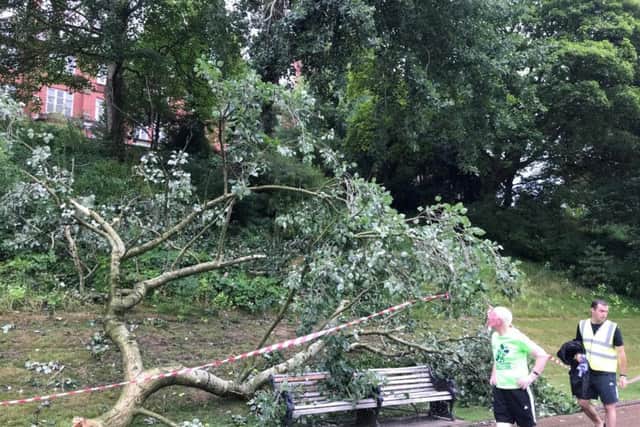Runners at Preston had a near miss when this tree crashed down close to a footpath in Avenham and Miller Park