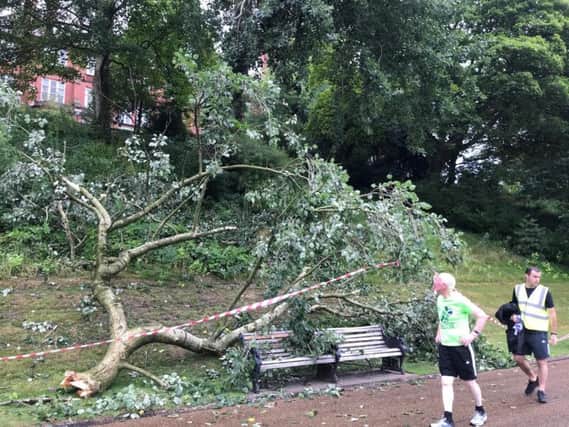 Runners at Preston had a near miss when this tree crashed down close to a footpath in Avenham and Miller Park