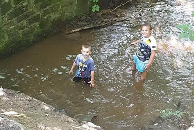 Jaxon and Josie cooling off at the scene of their daring rescue mission in Brindle Lodge brook, Hoghton, near Preston