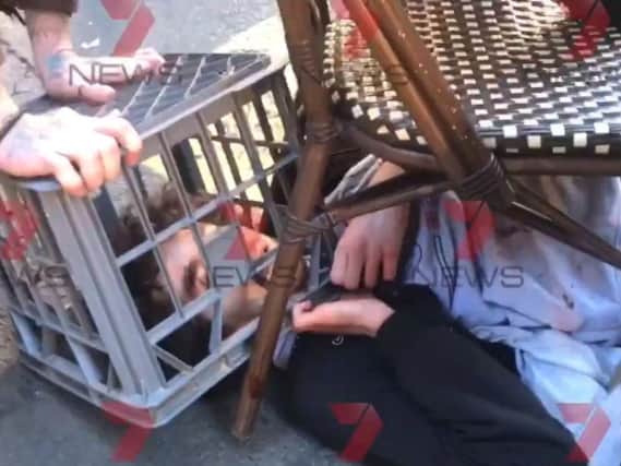 A man being tackled with a milk crate and chairs by members of the public in Sydney, Australia, following a knife attack