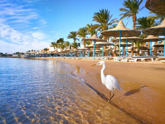 Hurghada is the location with the highest number of food poisonings reported.