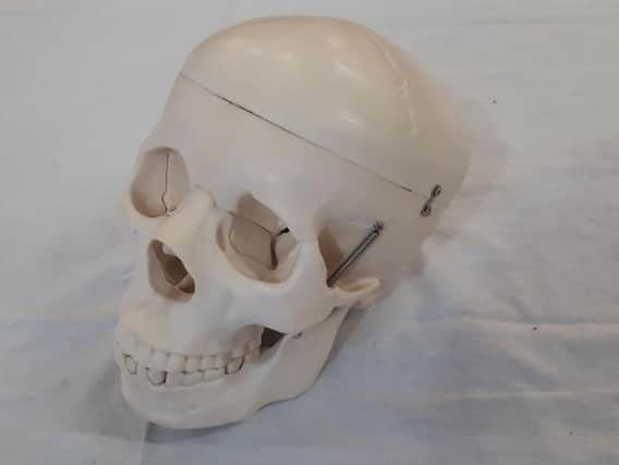 Made for medical students, his hinged skull opens for study.  He is 48