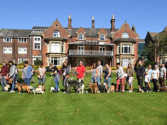Participants in the Bark in the Park event gather at St Catherine's Park