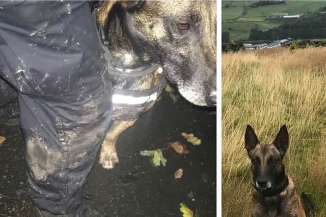 PD Rhyker had been looking forward to 'forty winks' before being called out to help catch two car 'baddies' in Leyland last night (September 24)