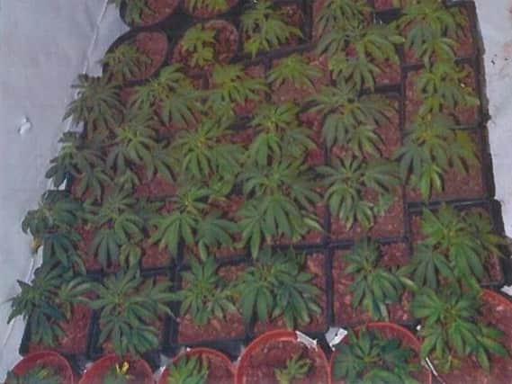 Police discovered the cannabis grow in units at the Apex Trading Estate, Lower Eccleshill, Darwen at about 10am on Wednesday (October 8)