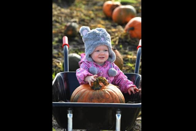 18-month-old Abigail Harrison