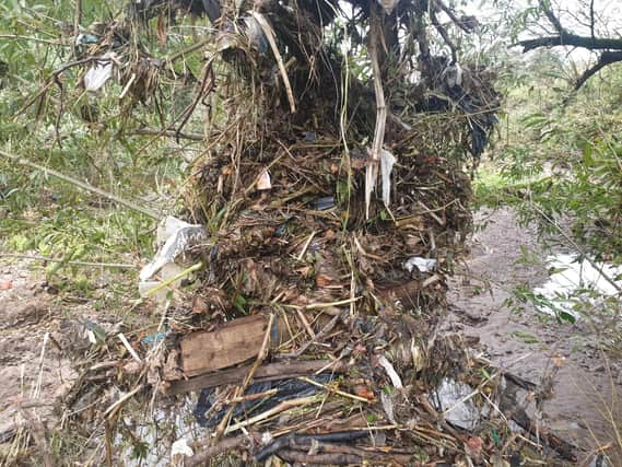 Driftwood and dead tree branches have been blamed for blockages that led to a build-up of plastic waste in the River Darwen