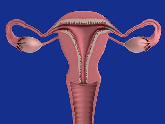 Picture of the ovaries. Supplied by Pixabay