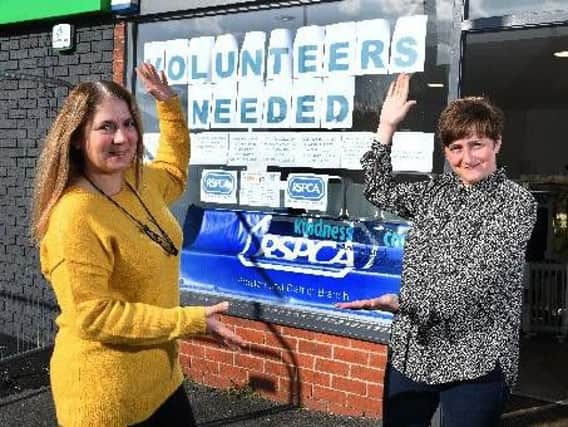 RSPCA managers Deborah Hiorns and Frances Augustinus are looking for volunteers to join them at the new Penwortham branch.
