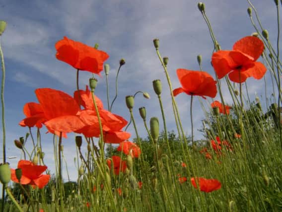 Residents in Chorley will be able to pay their respects to those who have lost their life in conflict
