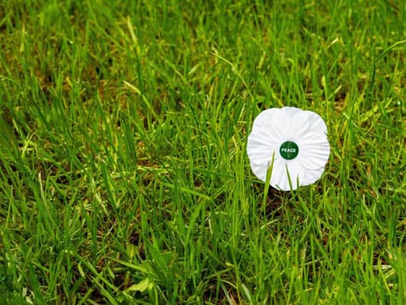 Even the white poppy, designed as a symbol of peace, has come under fire in recent times. Picture: Shutterstock