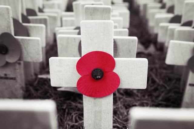 "In Flanders fields the poppies blow, between the crosses, row on row". Picture: Shutterstock