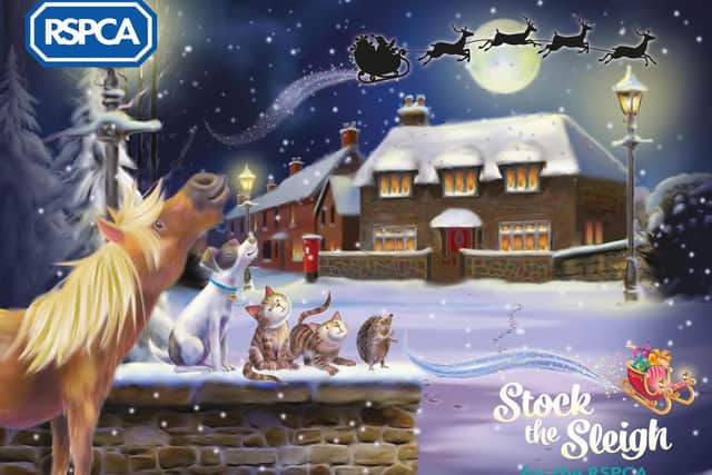 The RSPCA is asking people to donate to its Stock the Sleigh appeal to help all the animals in care over Christmas
