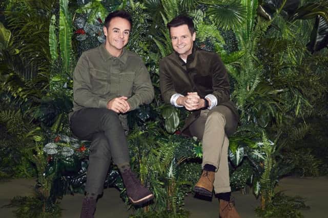 Ant and Dec in the jungle for I'm a celebrity: Get me out of here!