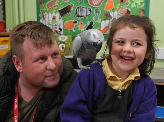 Dave Vaughan with Pee the African Grey parrot who went missing and was found by Adlington St Paul's CE Primary School pupil Esme Potter and rescued by Jessica Fairclough and Justine Peel (Images and video: JPIMedia)