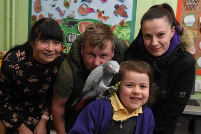 Dave Vaughan with Pee the African Grey parrot who went missing and was found by Adlington St Paul's CE Primary School pupil Esme Potter and rescued by Jessica Fairclough and Justine Peel (Images and video: JPIMedia)