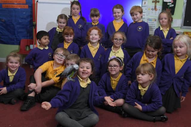 Pee the parrot with Esme and her classmates (Images and video: JPIMedia)