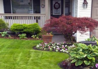 Attractive: A lovely lawn