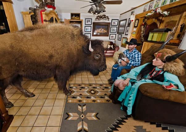 Ronald and Sherron settle into a night at home with Wildthing the bison