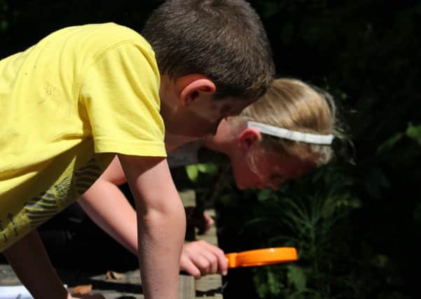 Youngsters on the hunt for creatures at Brockholes nature reserve.